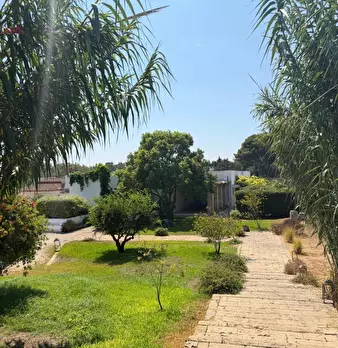 Foto annuncio 104