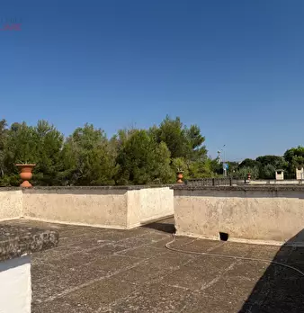 Foto annuncio 93