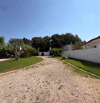 Foto annuncio 103