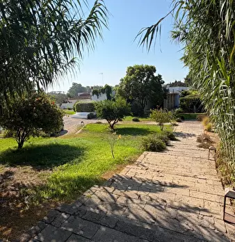 Foto annuncio 70