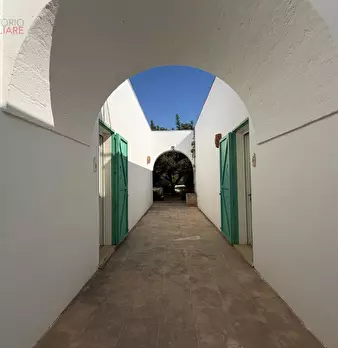 Foto annuncio 105