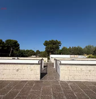 Foto annuncio 107