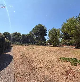 Foto annuncio 90