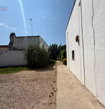 Foto annuncio 87