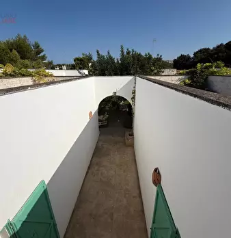 Foto annuncio 82