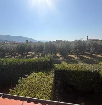 Foto annuncio 26