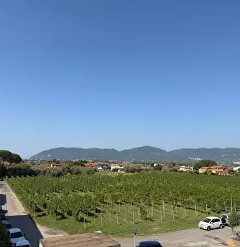 Foto annuncio 25