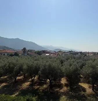Foto annuncio 27