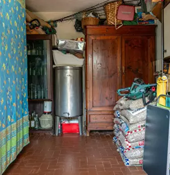 Foto annuncio 52