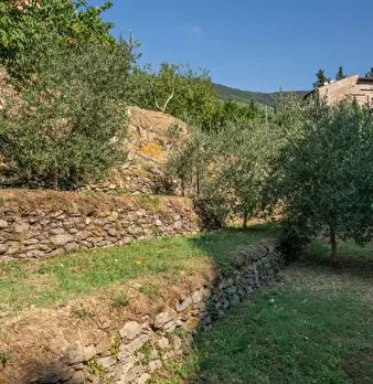 Foto annuncio 46