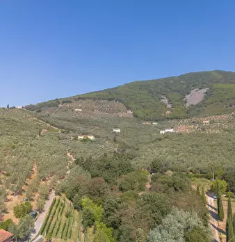 Foto annuncio 63