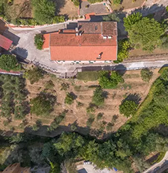 Foto annuncio 65
