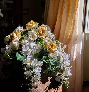 Foto annuncio 30