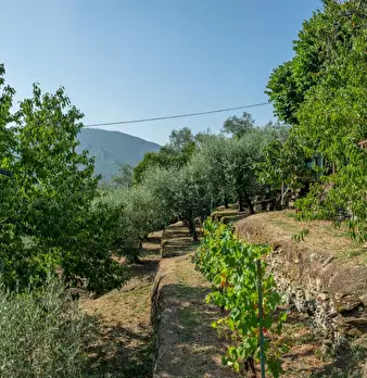 Foto annuncio 42