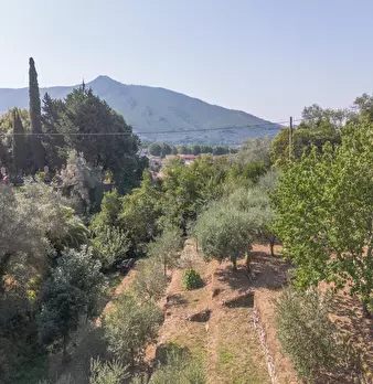 Foto annuncio 68