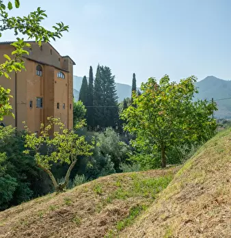 Foto annuncio 41