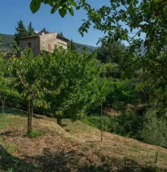 Foto annuncio 40
