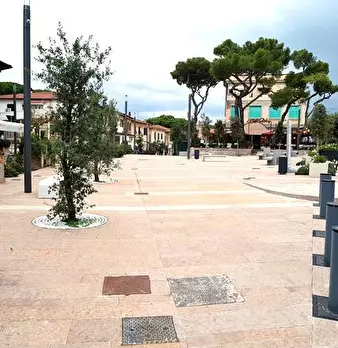 Foto annuncio 11