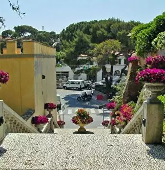 Foto annuncio 12