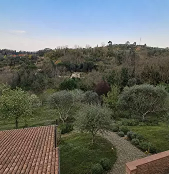 Foto annuncio 16