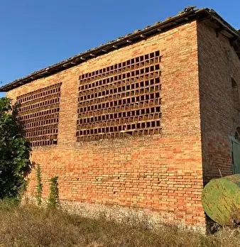 Foto annuncio 2