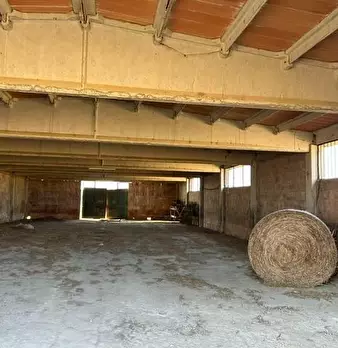Foto annuncio 11
