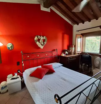 Foto annuncio 19