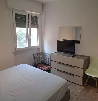 Foto annuncio 31