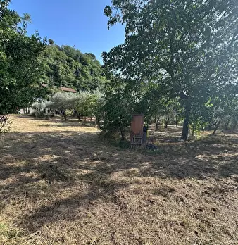Foto annuncio 5