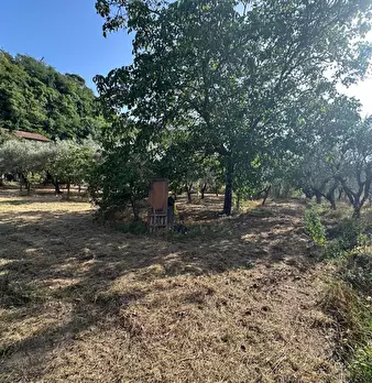Foto annuncio 6