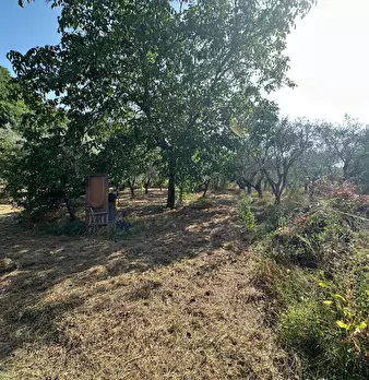 Foto annuncio 4