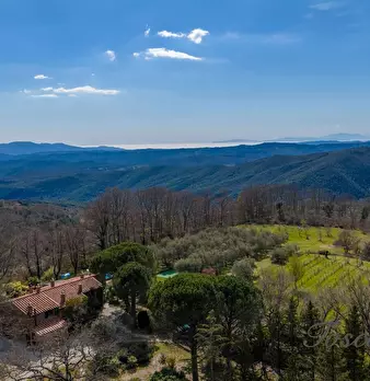 Foto annuncio 11