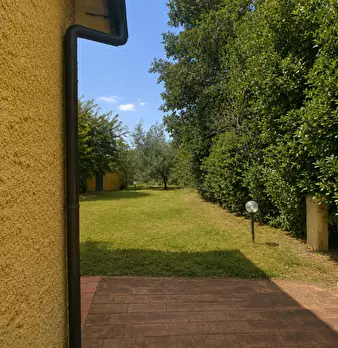 Foto annuncio 25