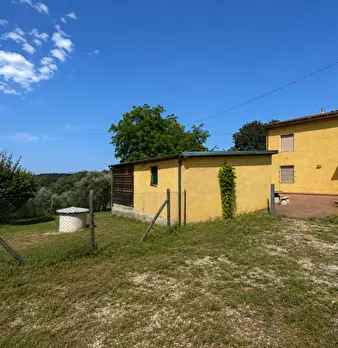 Foto annuncio 6