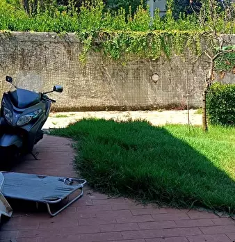Foto annuncio 37