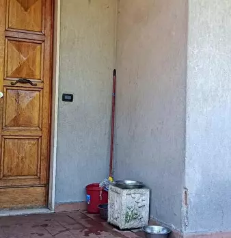 Foto annuncio 28