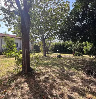 Foto annuncio 26
