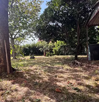 Foto annuncio 25