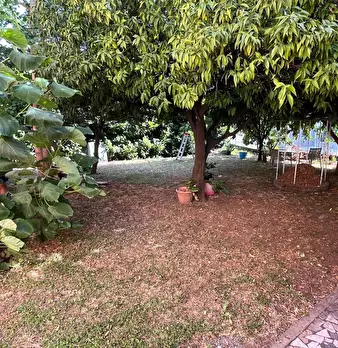 Foto annuncio 23