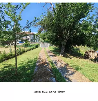 Foto annuncio 21