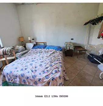 Foto annuncio 7
