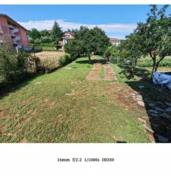 Foto annuncio 24