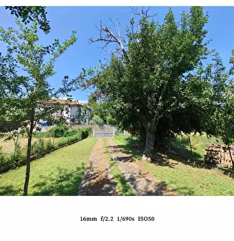 Foto annuncio 3
