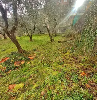 Foto annuncio 64
