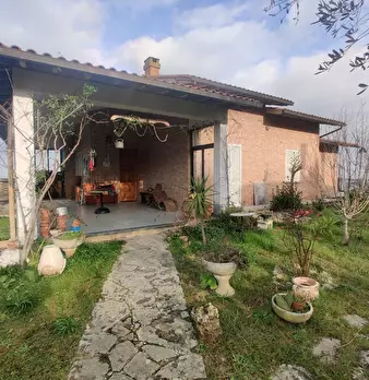 Foto annuncio 81