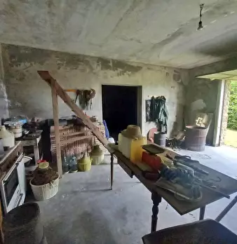 Foto annuncio 61