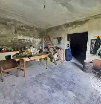 Foto annuncio 60