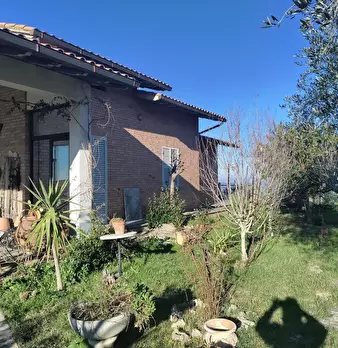 Foto annuncio 80