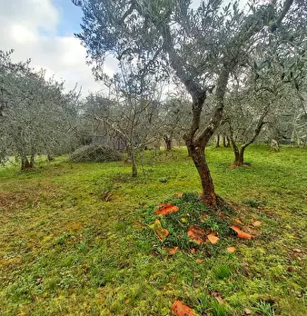 Foto annuncio 63