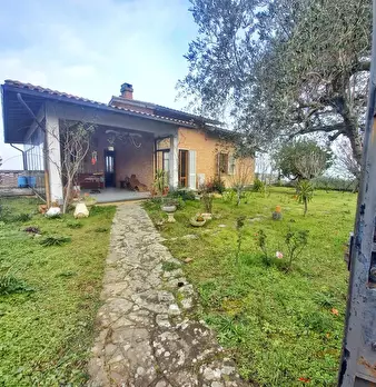 Foto annuncio 67